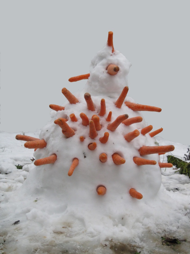 bonhomme de carottes 4